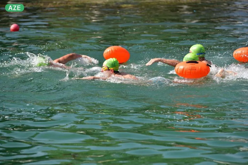 Record 616 swimmers register for "Let