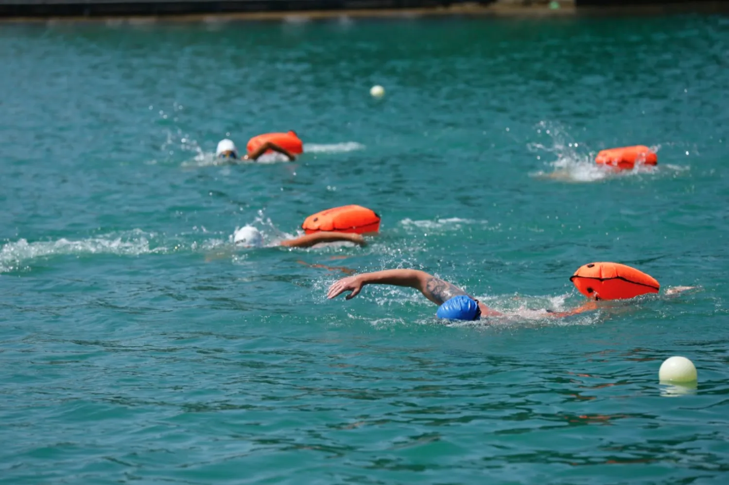 Mingachevir Hosts 5th "Kürü keçək?!" Open Water Swimming Race