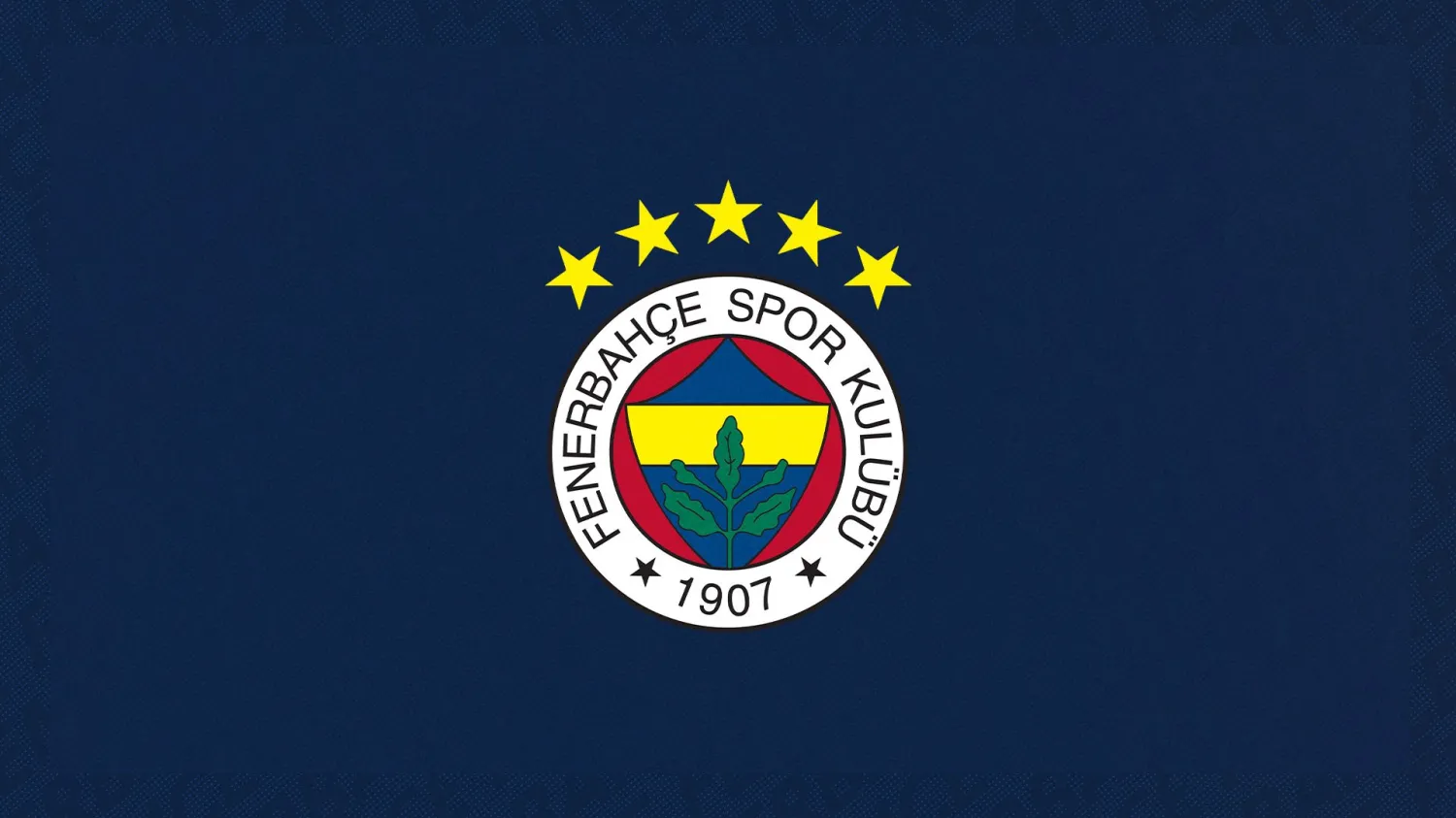 Fenerbahce to Land in Baku on October 2 for Turan Tovuz Match